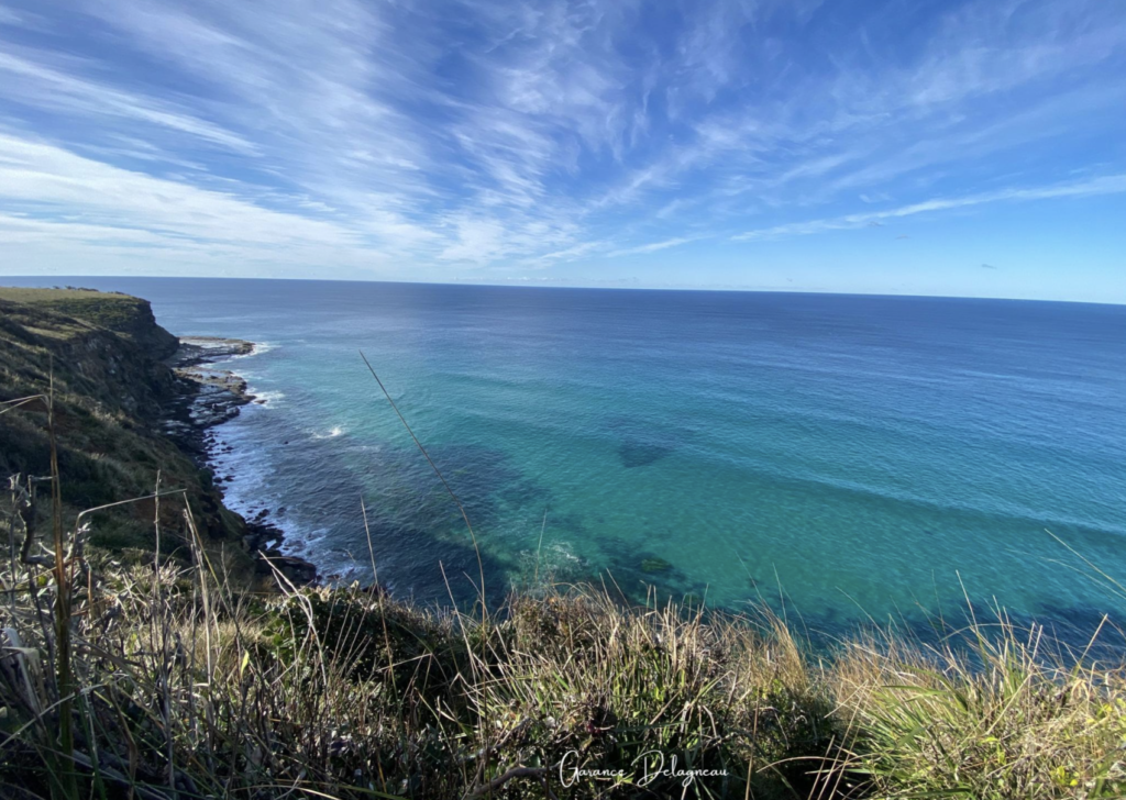 Eagle Rock, Royal National park 