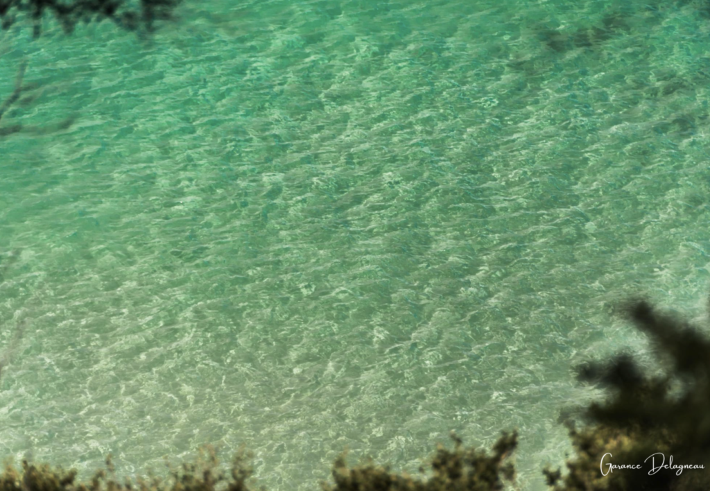 Best waters from NSW