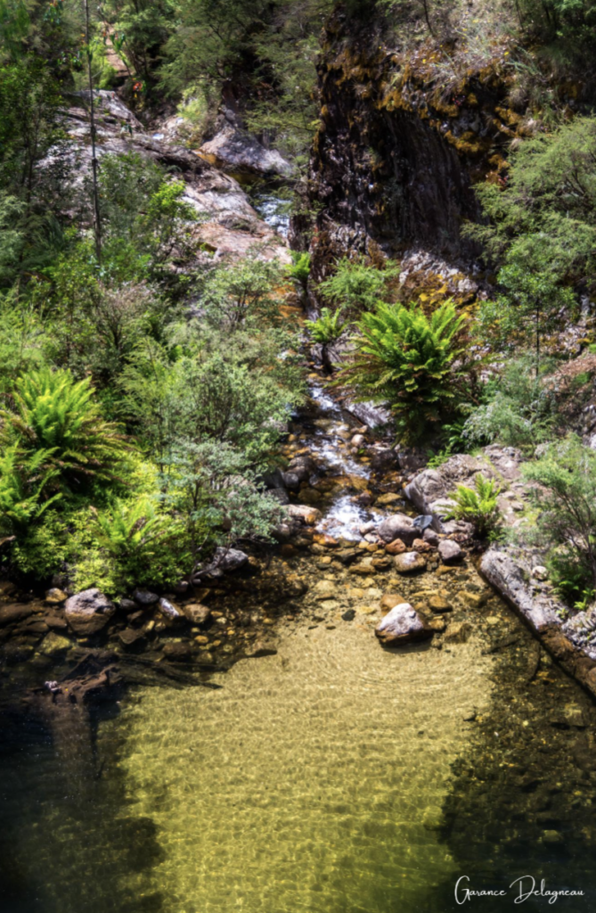 Rollasons Falls, upper falls