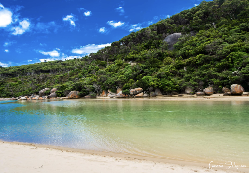 Tidal River in the morning