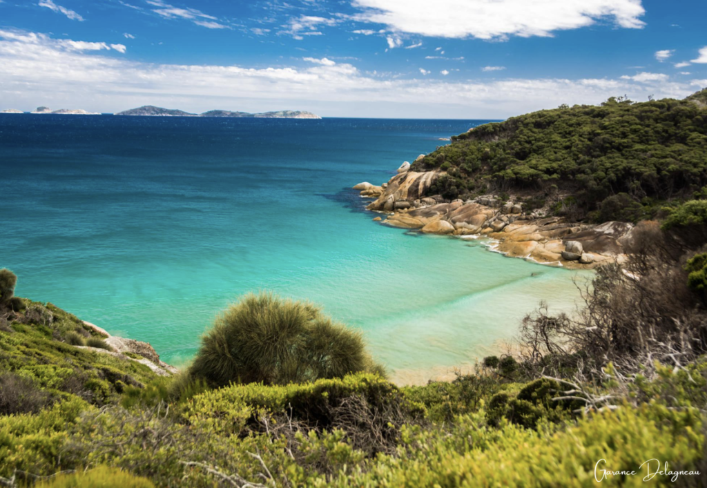 Cove along the Three Bay walk