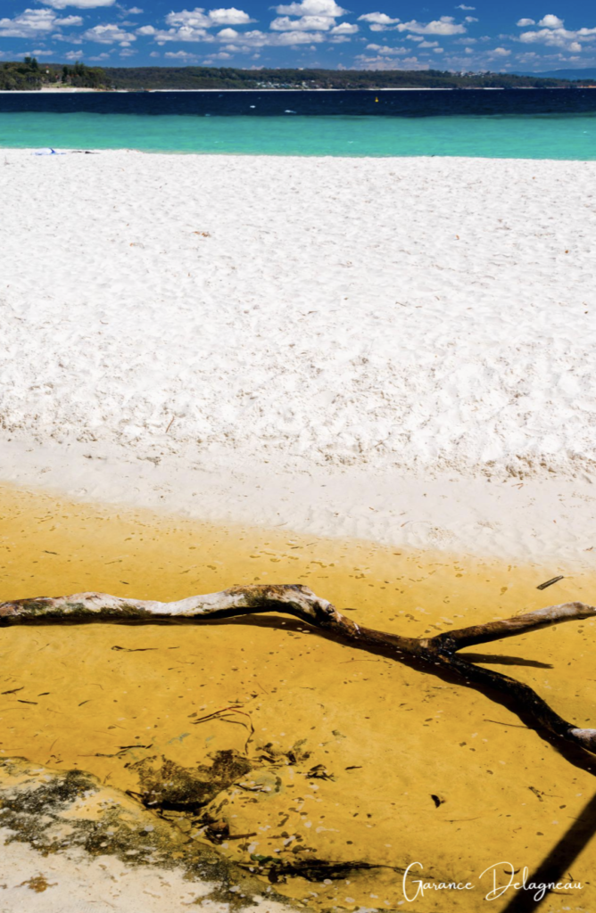 Green Patch, Jervis Bay