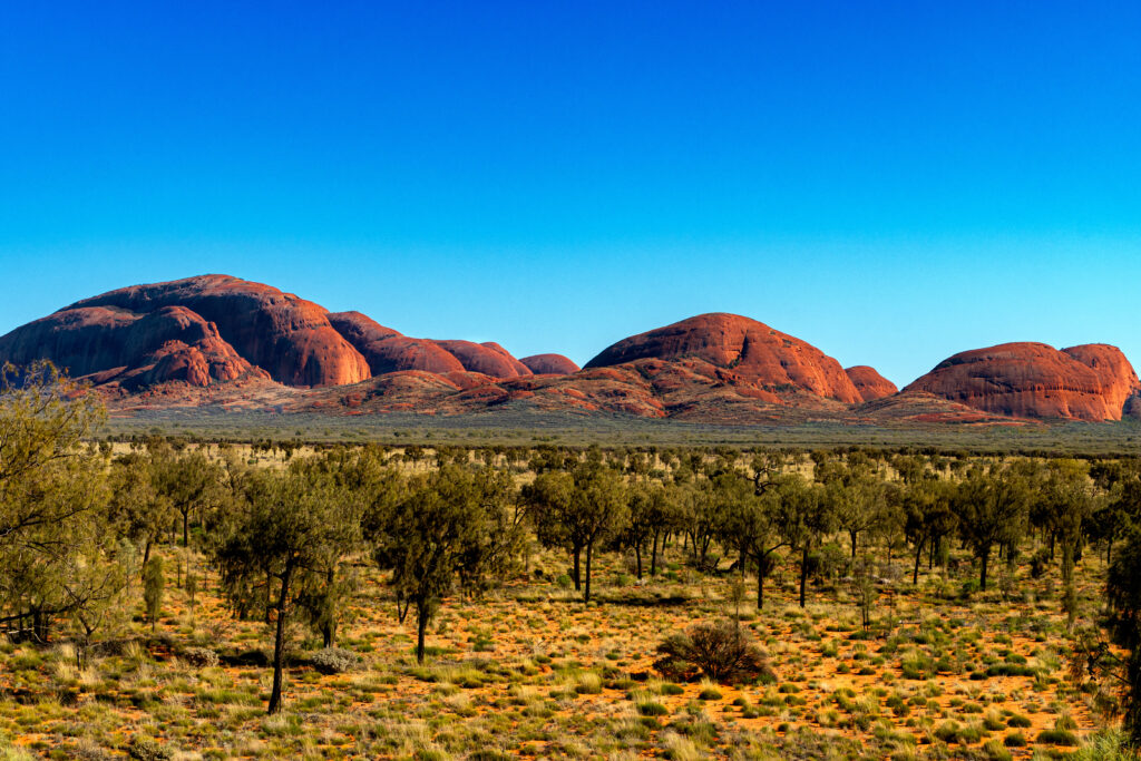 Valley of the wind