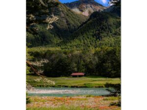 Alone in New-Zealand