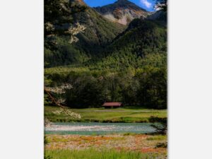 Alone in New-Zealand